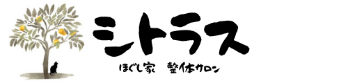 青梅市シトラスほぐし家整体サロン